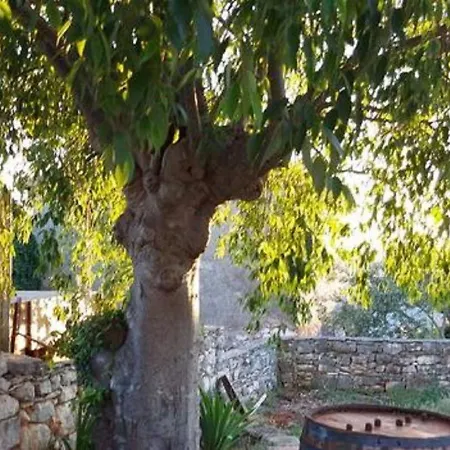 Дом отдыха In Near Beaches